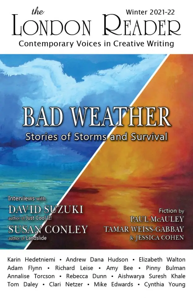 Stories of Storms and Survival cover